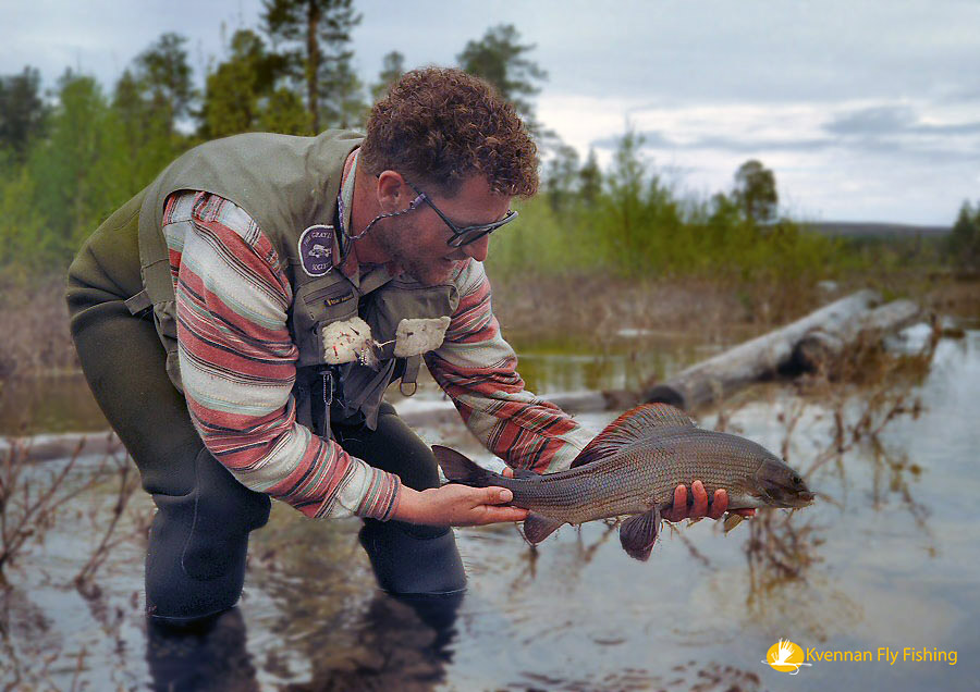 58 cm Glomma grayling on a dry fly    