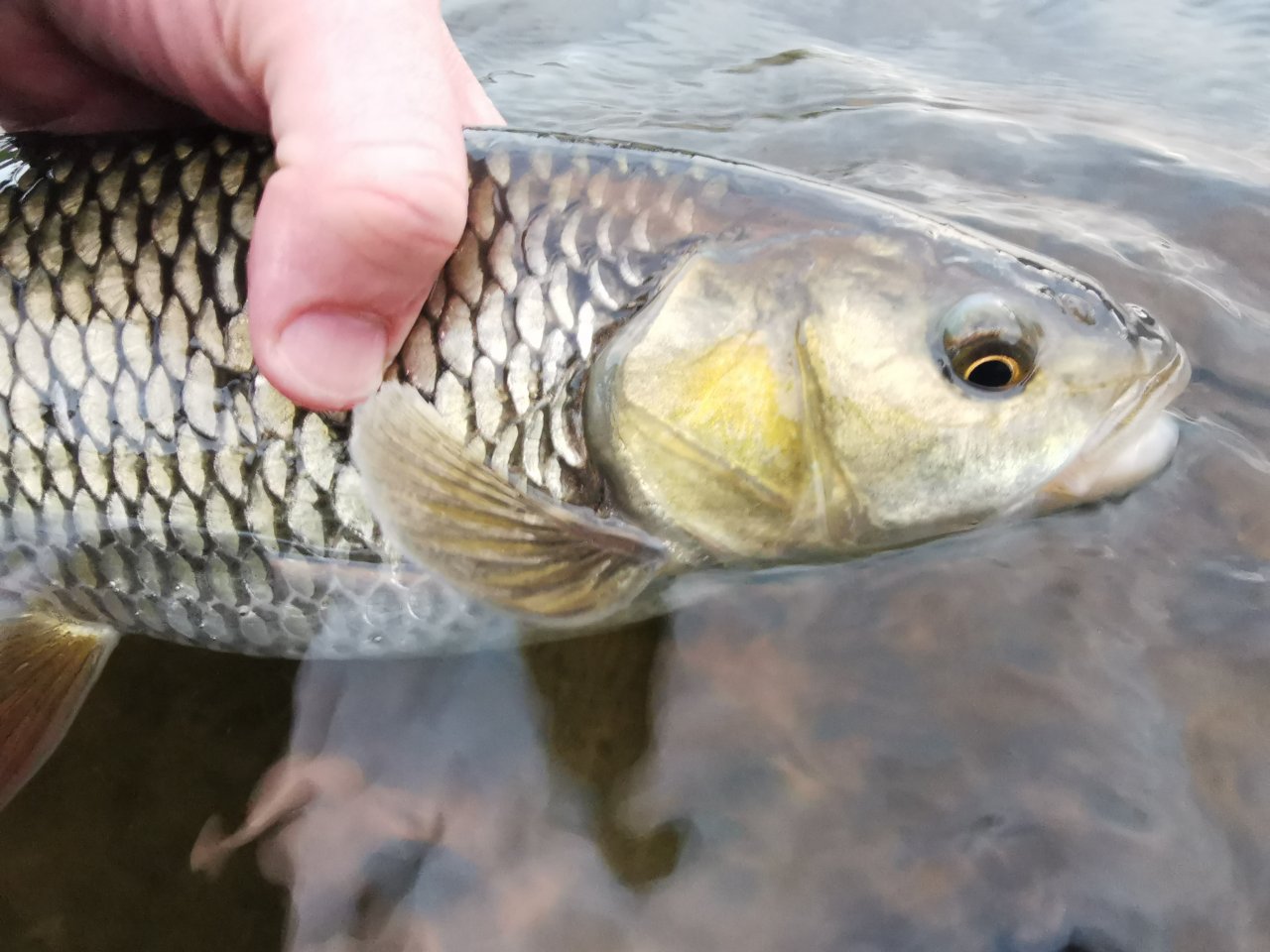 Lit�vka April fishing