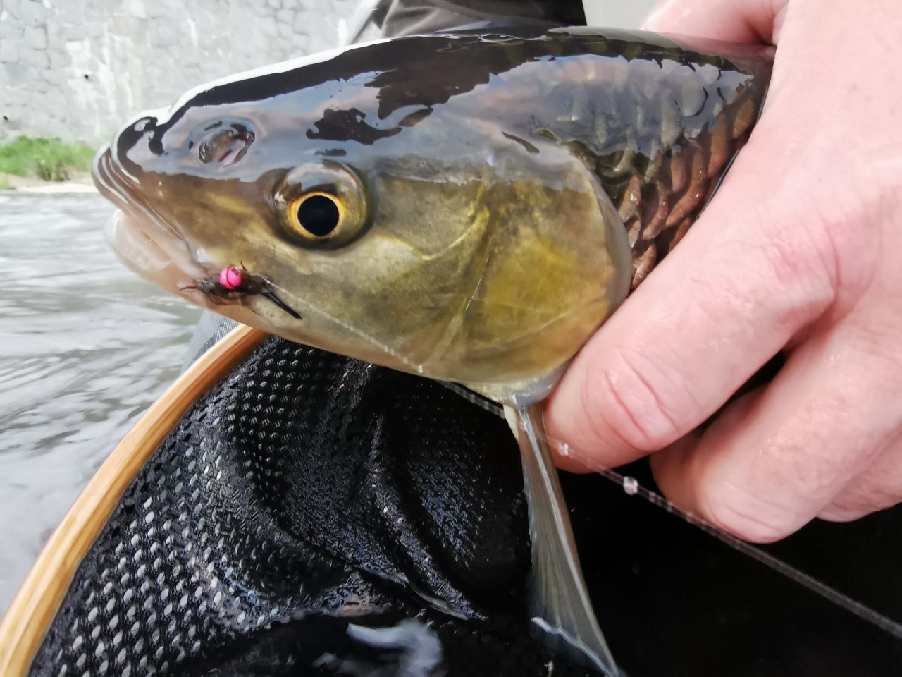 Lit�vka April fishing