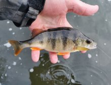 Litávka April fishing