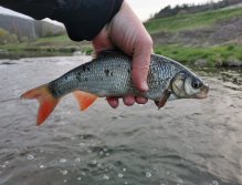Litávka April fishing