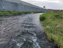 Litávka April fishing