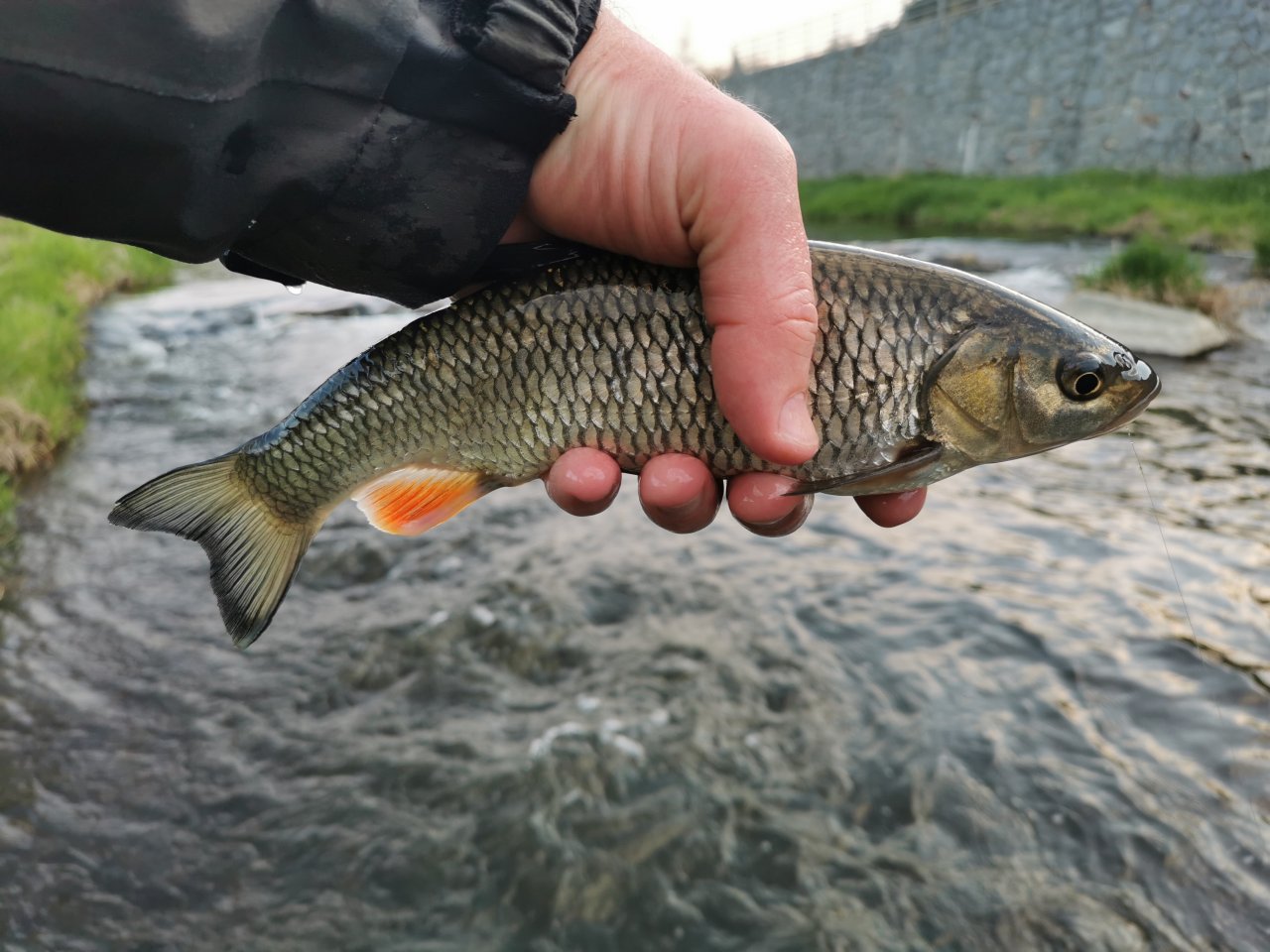 Lit�vka April fishing