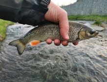 Litávka April fishing