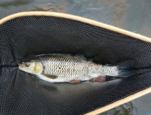 Litávka April fishing