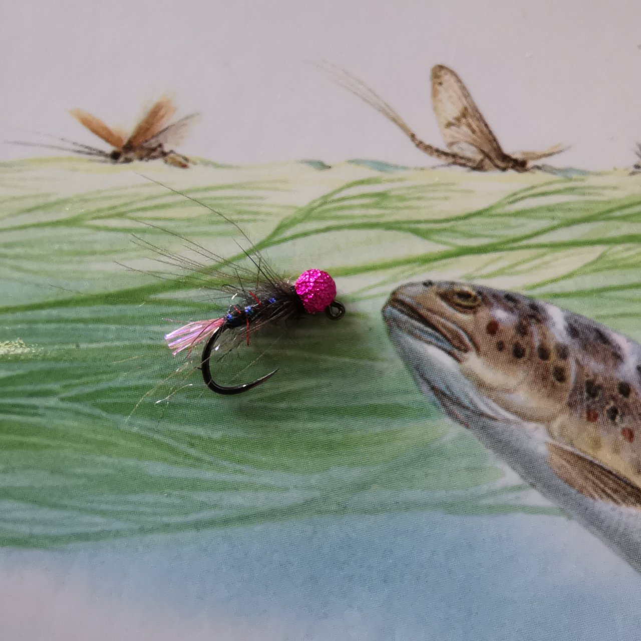 Tungsten Jig with SUNNY Tungsten Bead from Kn�pek Hooks