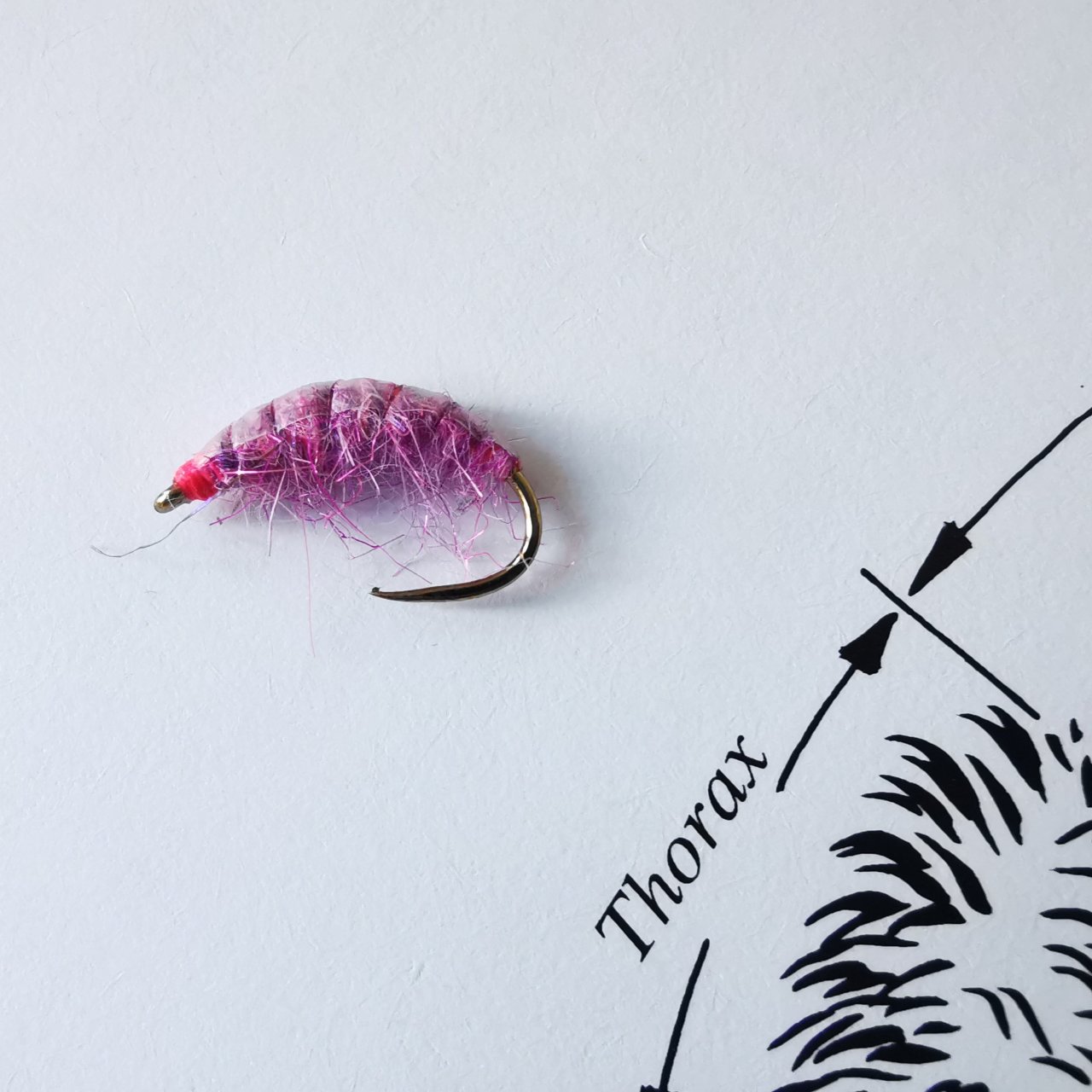 Another great pattern for grayling and rainbow - Pink Gammarus with BANANA load