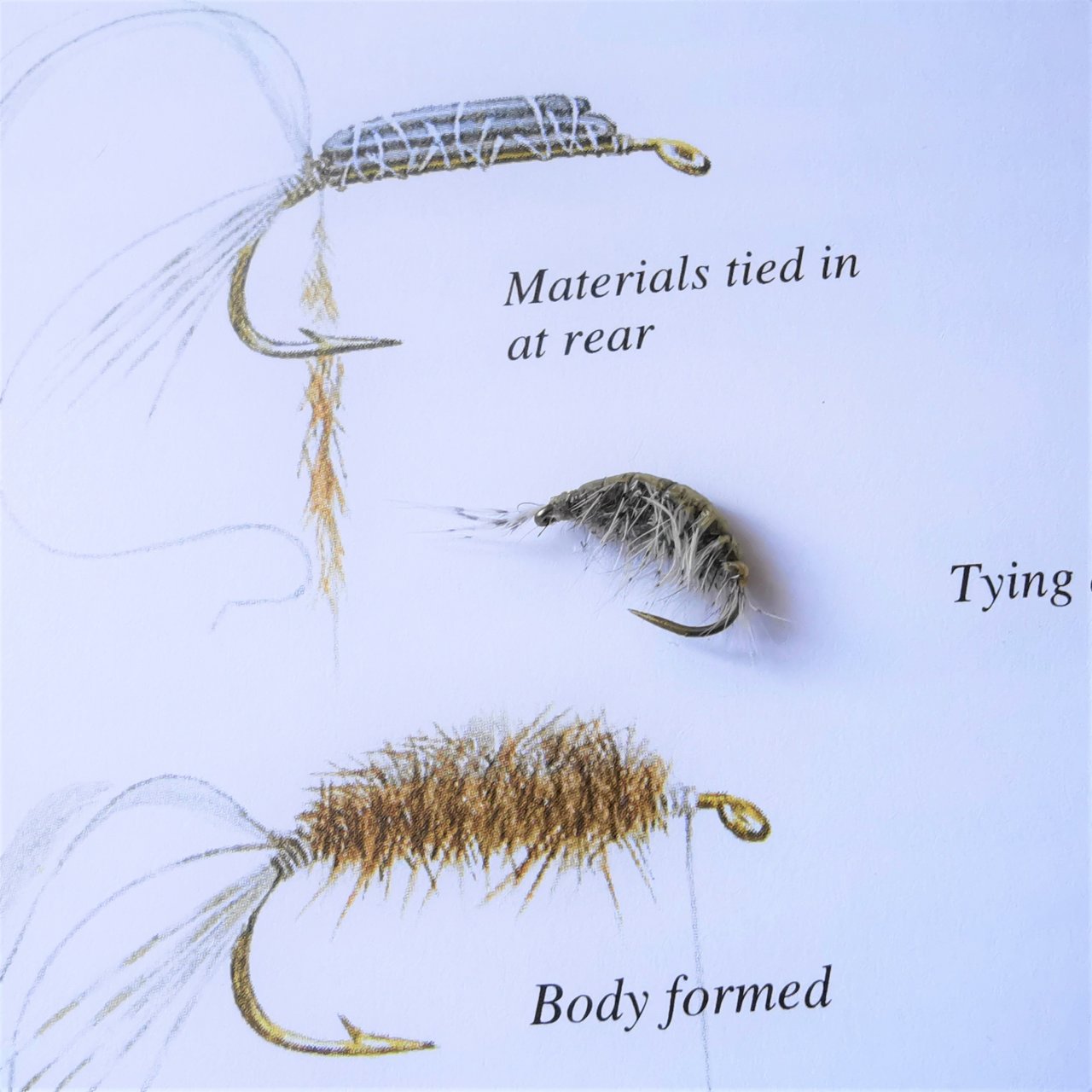 Close copy of river gammarus tied on SCUD BODY Kn�pek Hooks