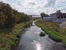 Litavka near Kraluv Dvur