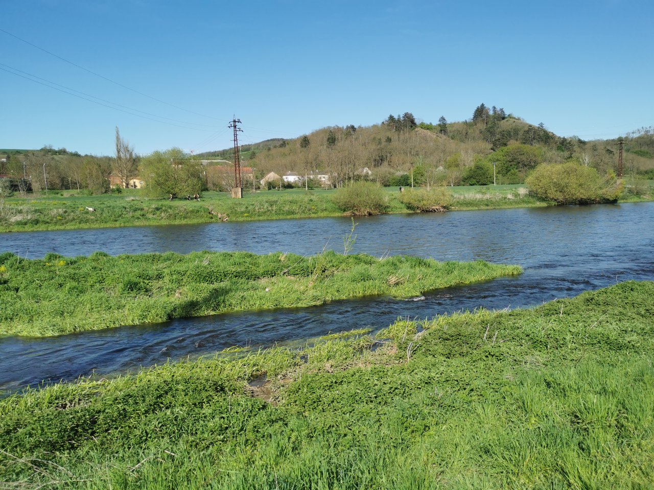 Berounka near Beroun, Czech Republic