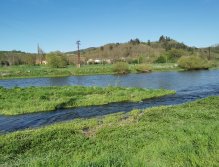 Berounka near Beroun, Czech Republic
