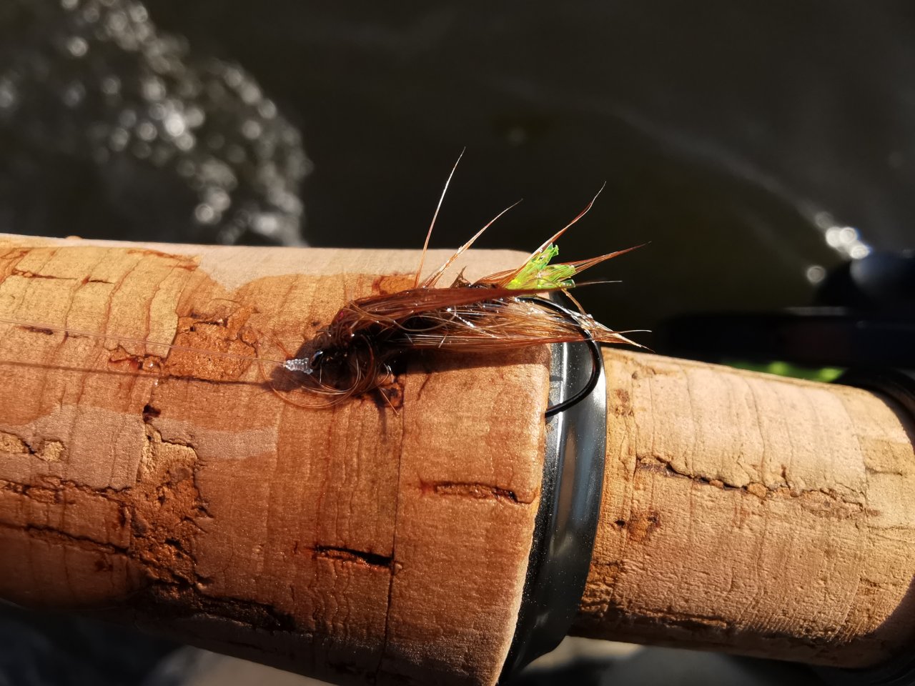 Berounka near Beroun, Czech Republic