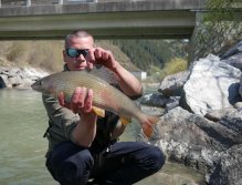 Grayling from Salzach