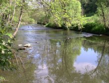 Mže below Hracholusky dam