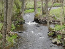 Mže above the Lucina dam