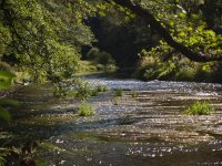 Other pictures from Me river