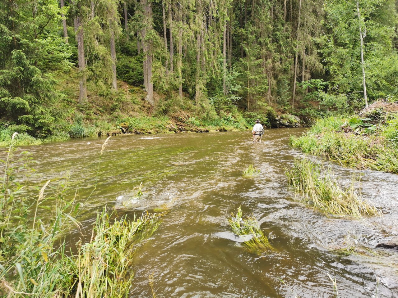 Zelivka near Sedlice