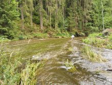 Zelivka near Sedlice