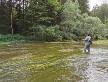 Zelivka near Sedlice