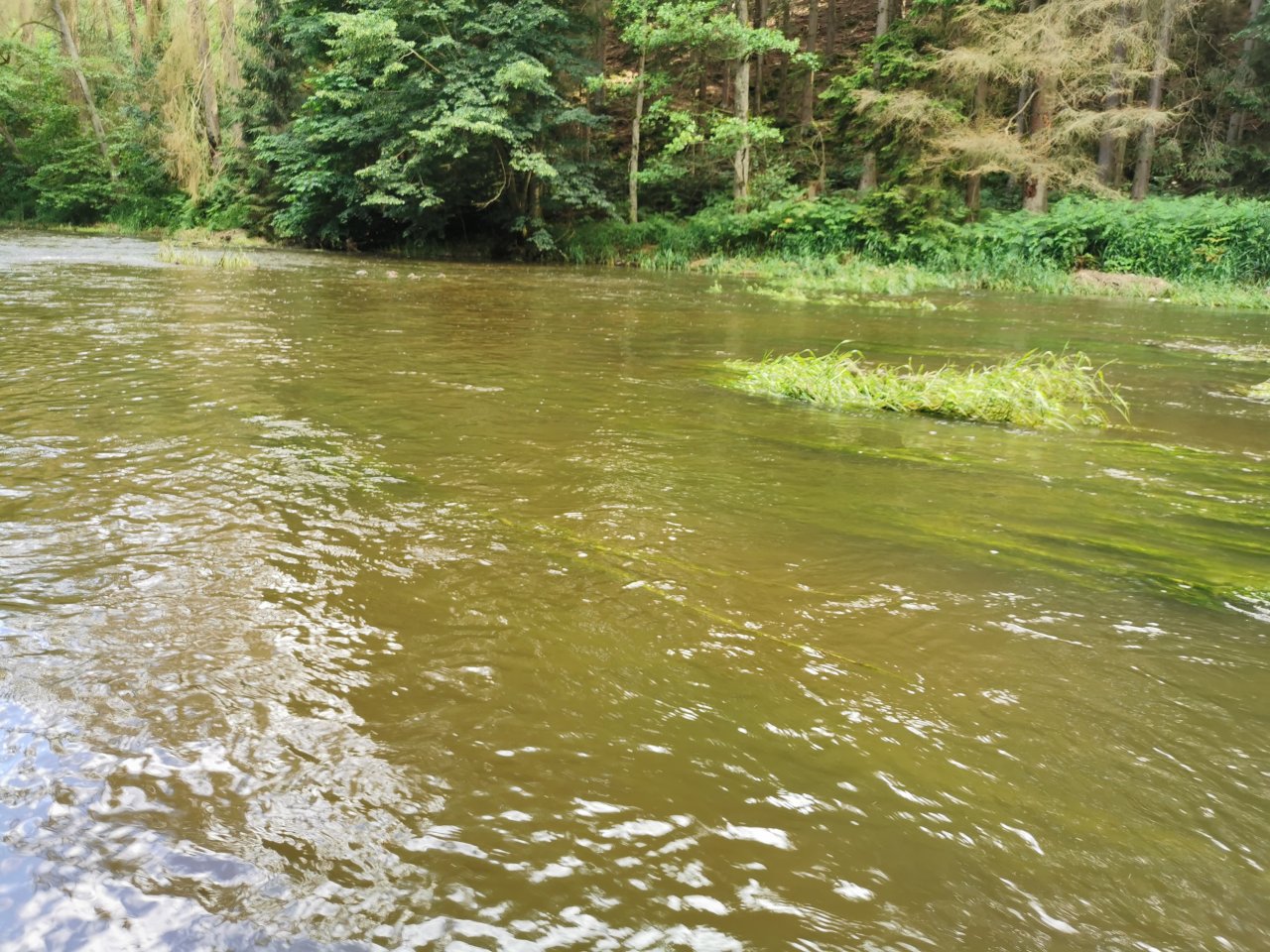 Zelivka near Sedlice