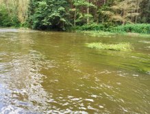 Zelivka near Sedlice