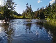 Zelivka near Sedlice