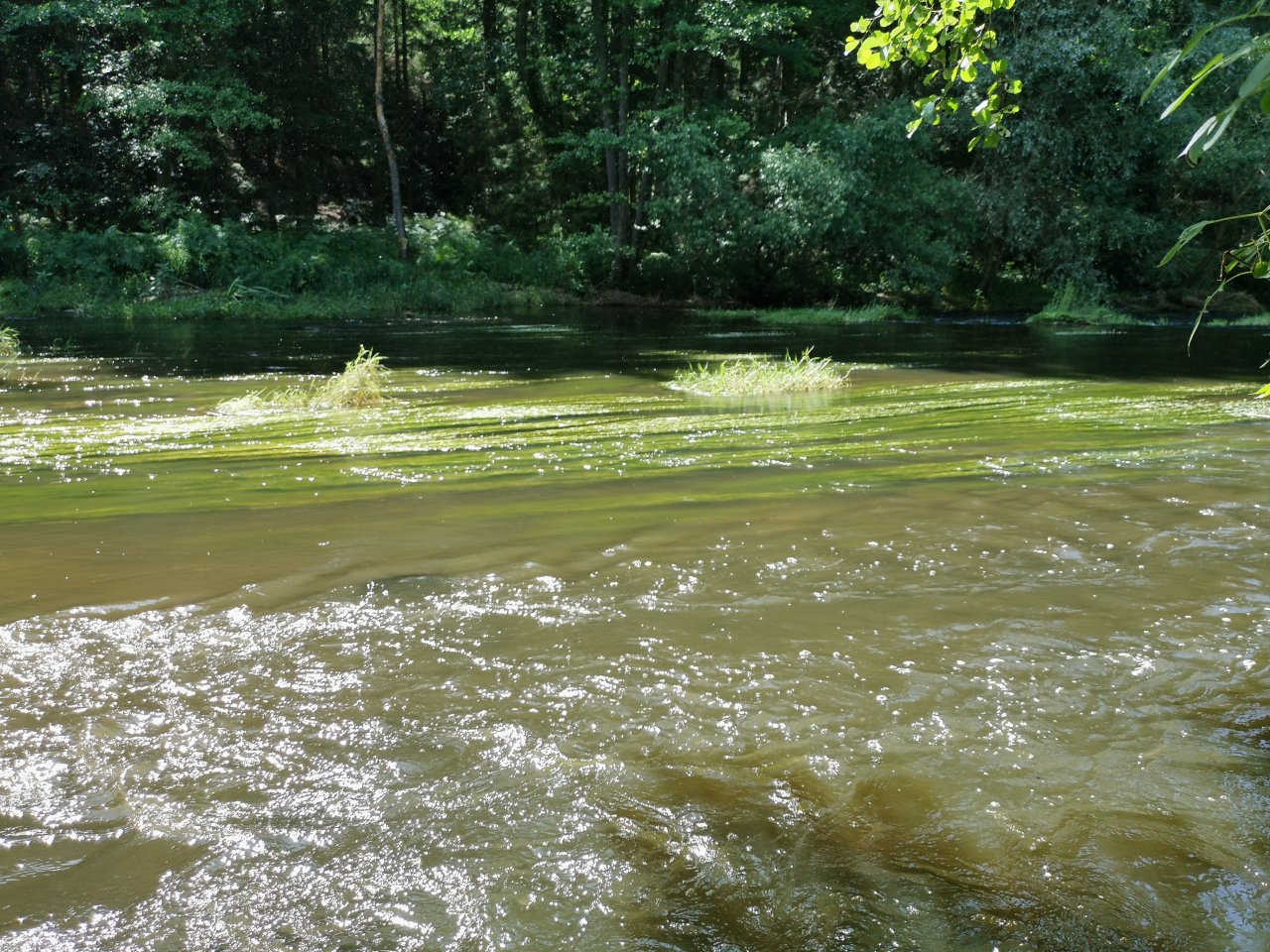 Zelivka near Sedlice