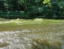 Zelivka near Sedlice