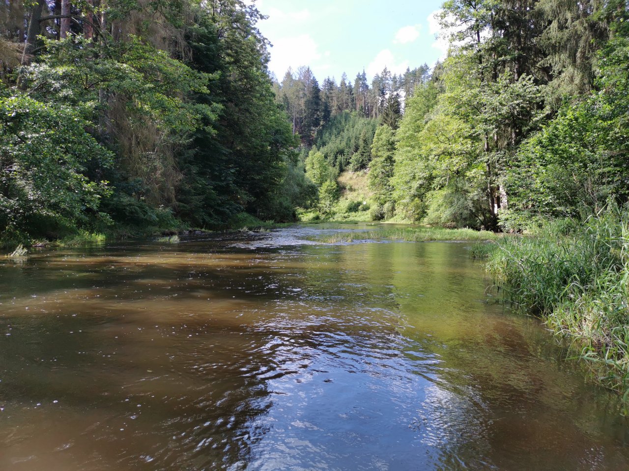 Zelivka near Sedlice