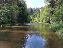 Zelivka near Sedlice