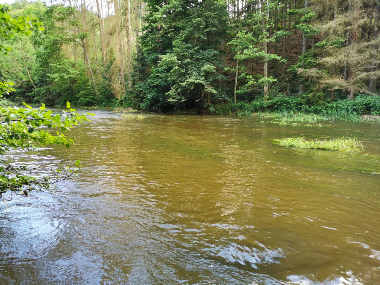 Zelivka near Sedlice