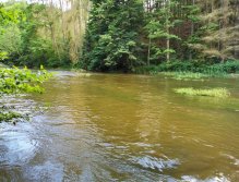 Zelivka near Sedlice