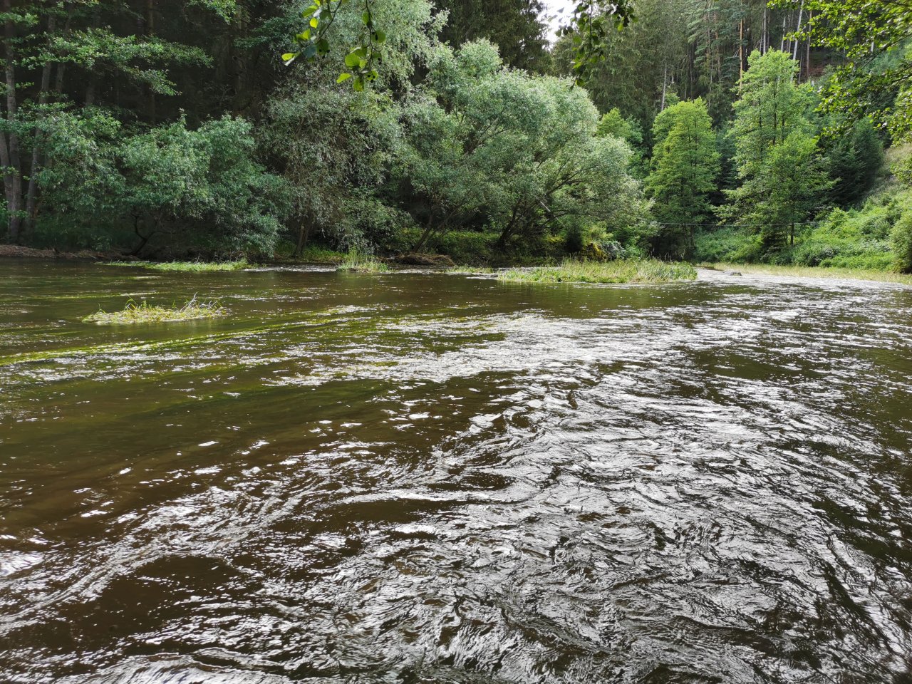 Zelivka near Sedlice