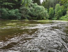 Zelivka near Sedlice