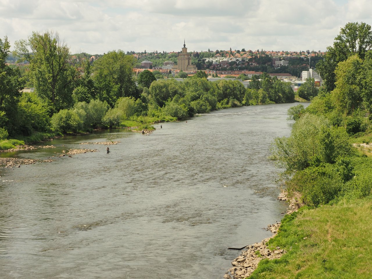 Prague Fly Fishing competition