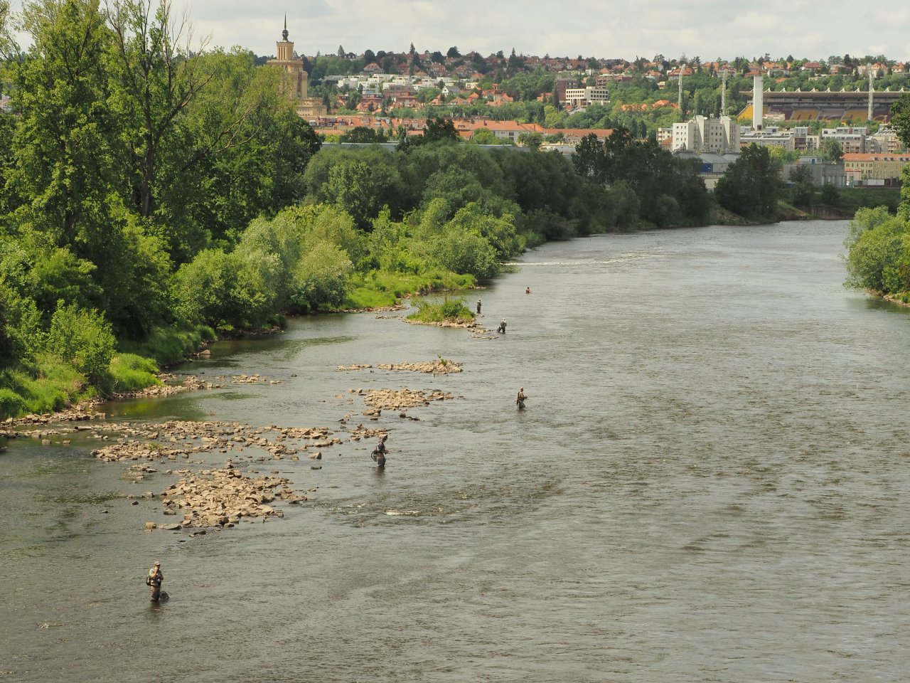 Prague Fly Fishing competition