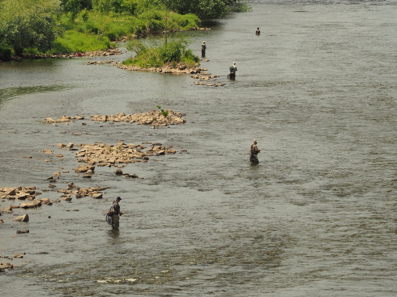 Prague Fly Fishing competition