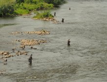 Prague Fly Fishing competition