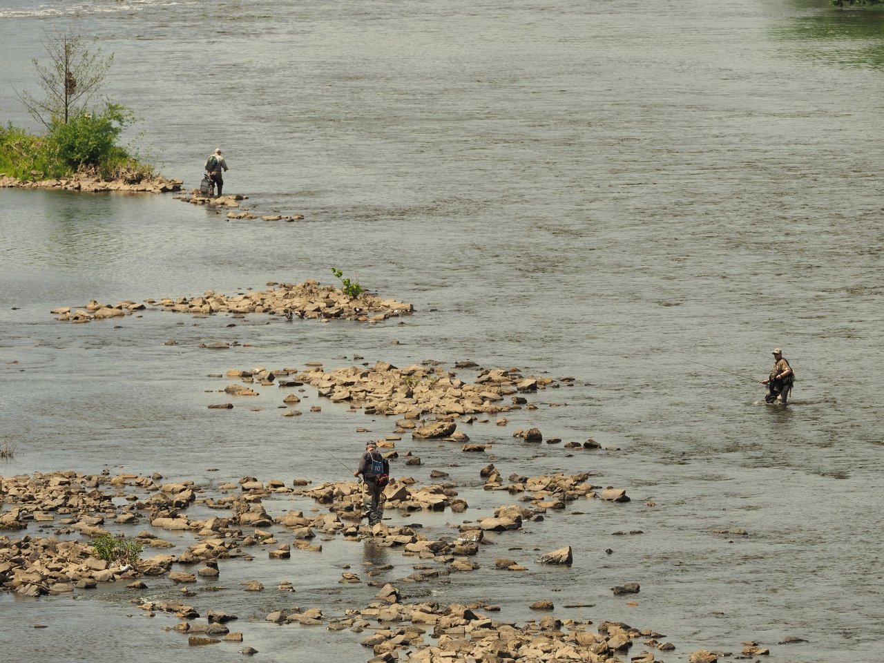 Prague Fly Fishing competition
