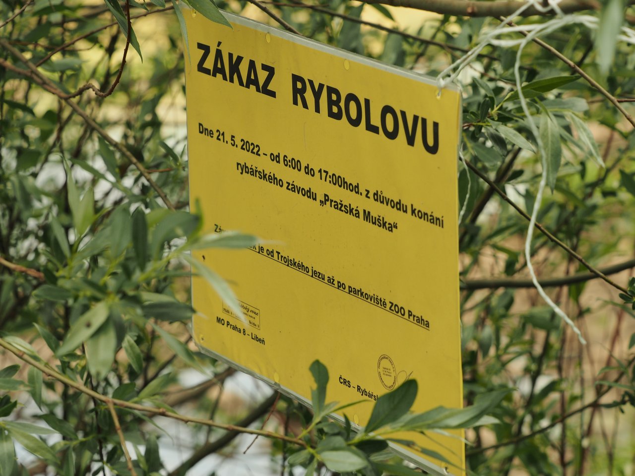 Prague Fly Fishing competition