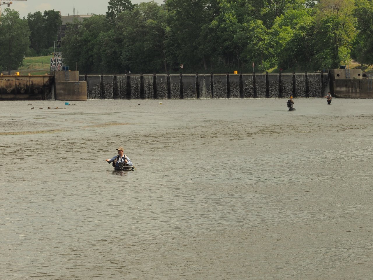 Prague Fly Fishing competition