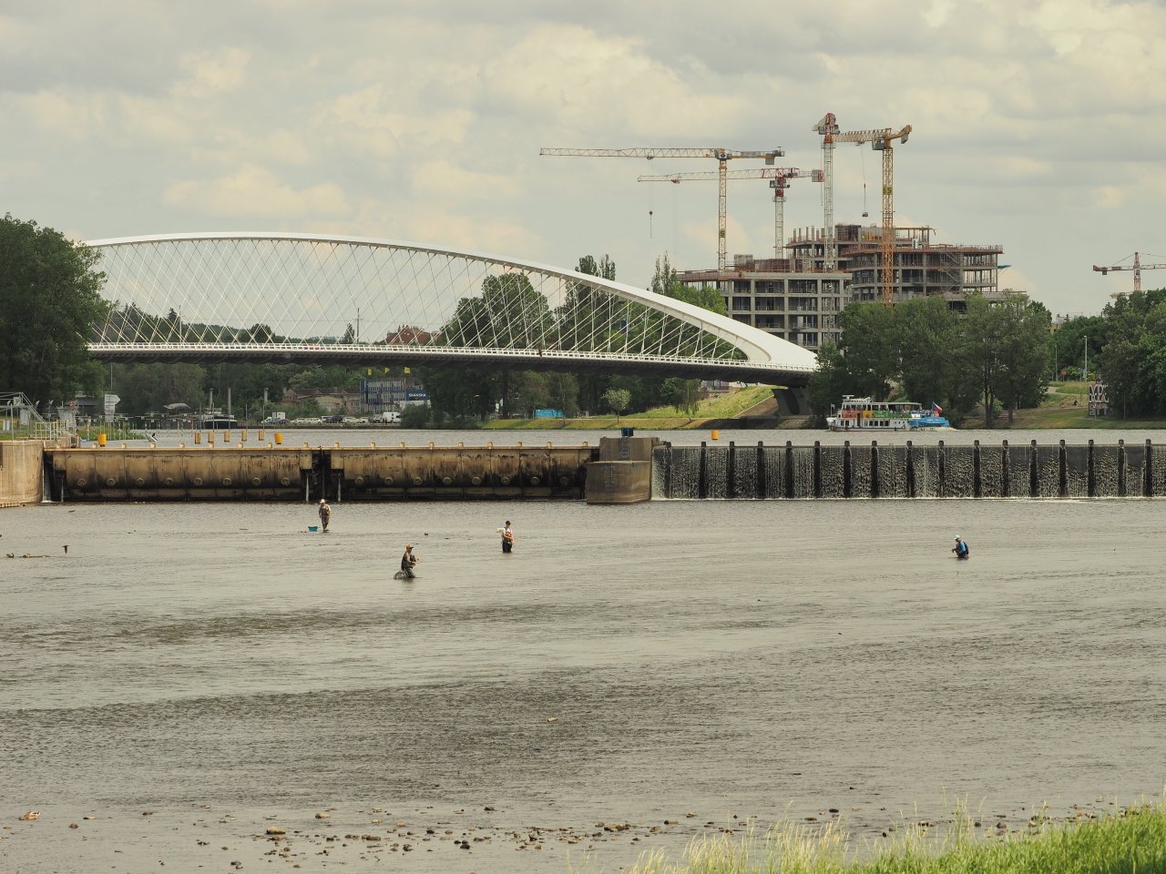 Prague Fly Fishing competition