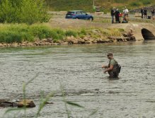 Prague Fly Fishing competition