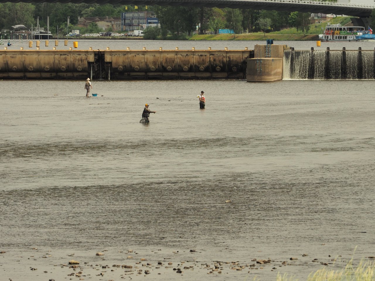 Prague Fly Fishing competition