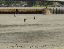 Prague Fly Fishing competition