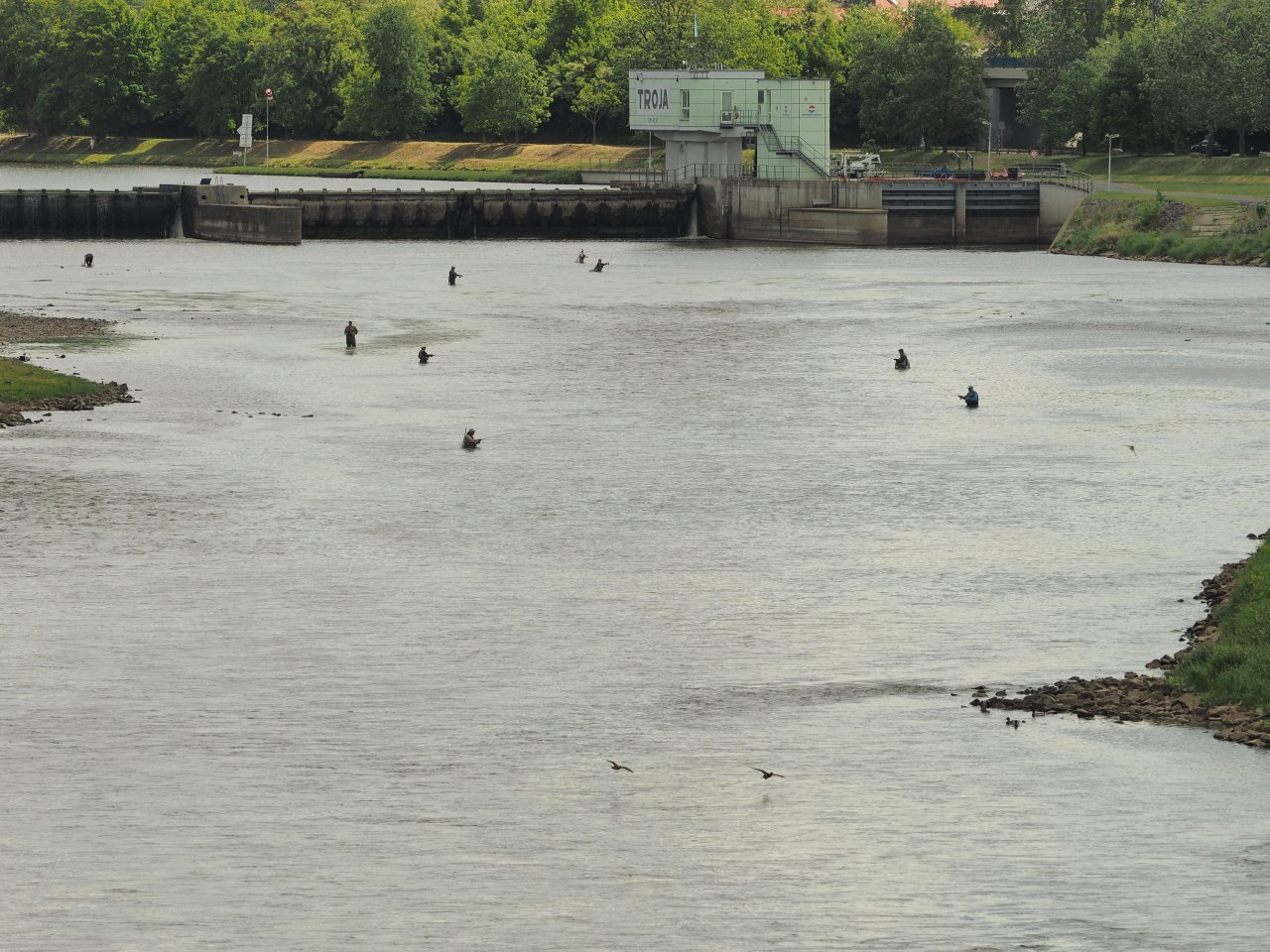 Prague Fly Fishing competition