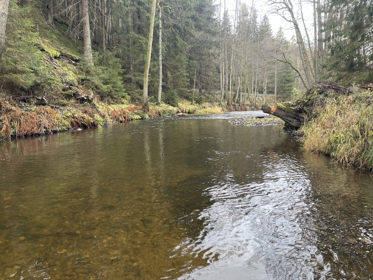 Svatava near H�ebeny