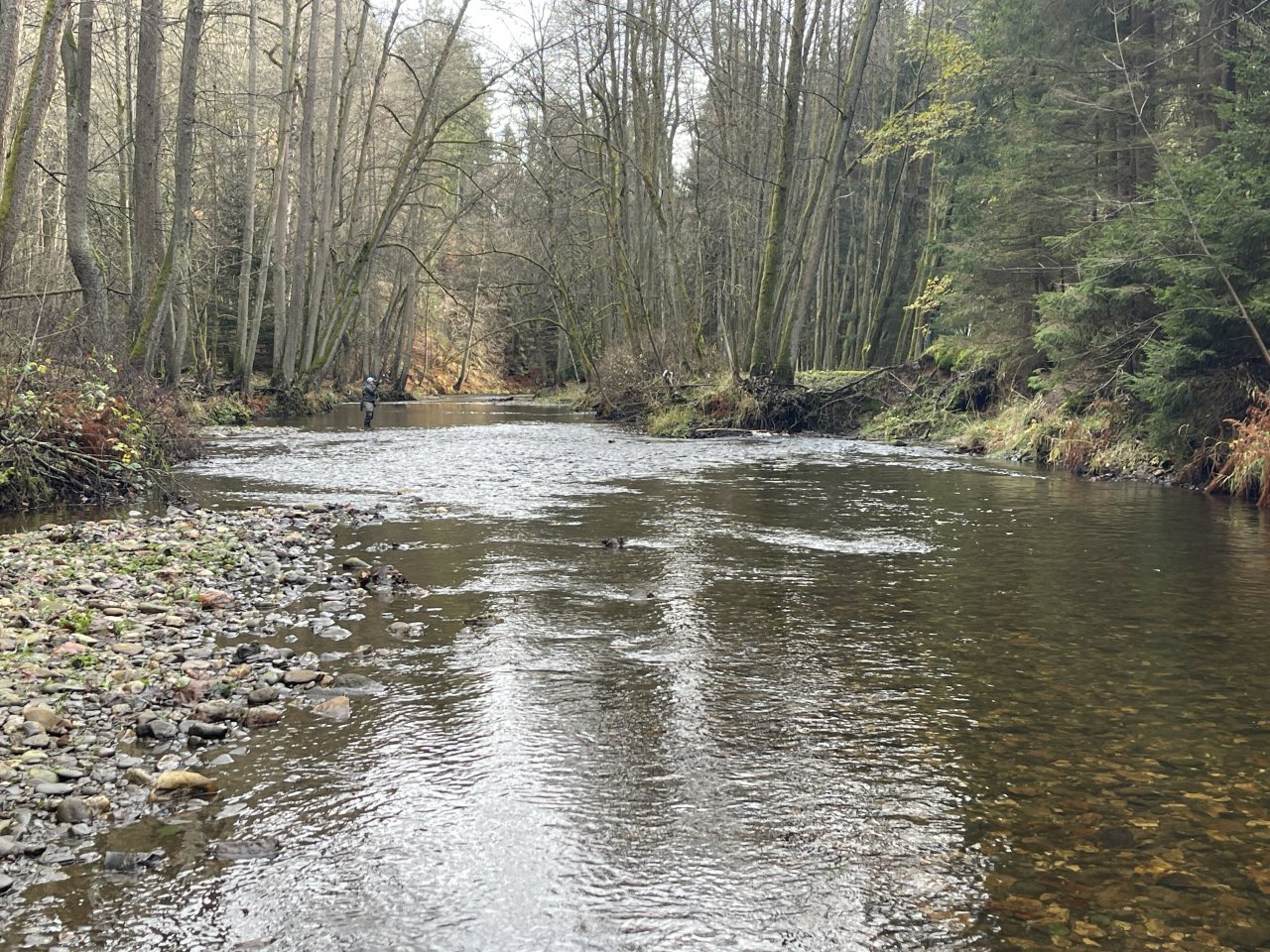 Svatava near H�ebeny