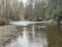 Svatava near Høebeny