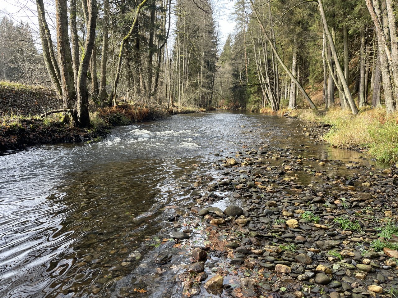 Svatava near H�ebeny